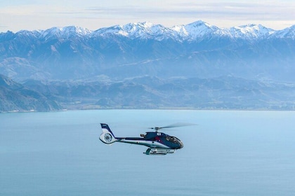 Kaikoura Helicopters Top n Tail Whale Watch flight