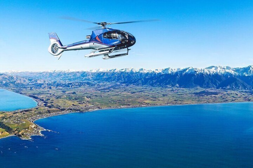 Kaikoura Helicopters Top n Tail Whale Watch flight