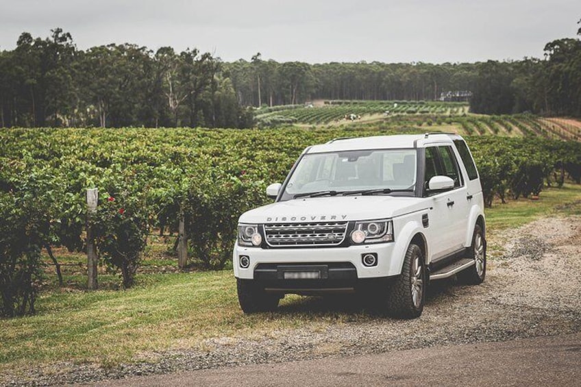 Hideaway Private Tours Hunter Valley- Indulgence Wine Tour (Full Day)