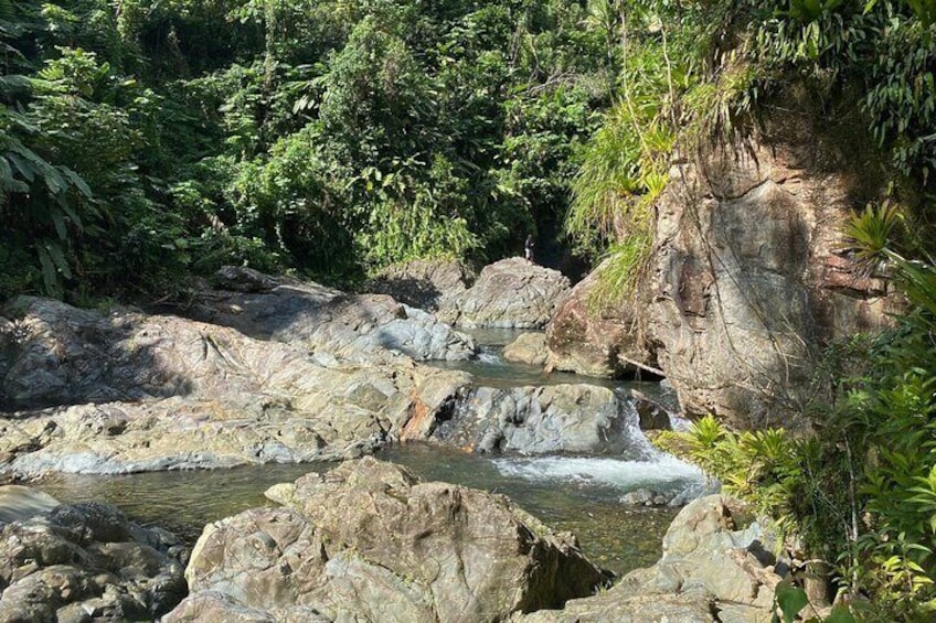 Half-Day Small-Group River Experience in El Yunque with Local
