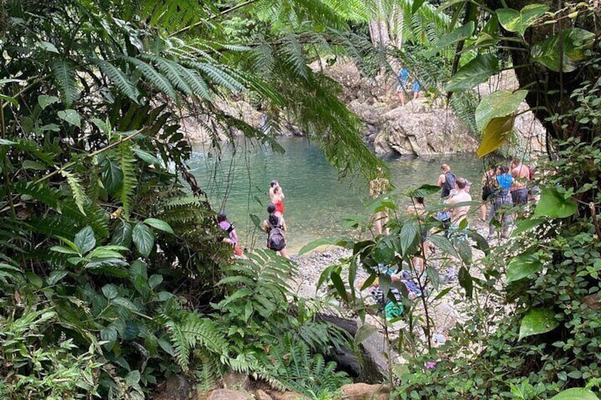 Half-Day Small-Group River Experience in El Yunque with Local