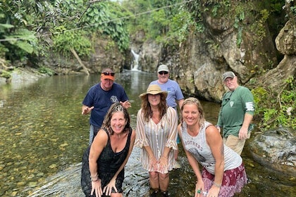 Halvdags flodäventyr i El Yunque med en lokal