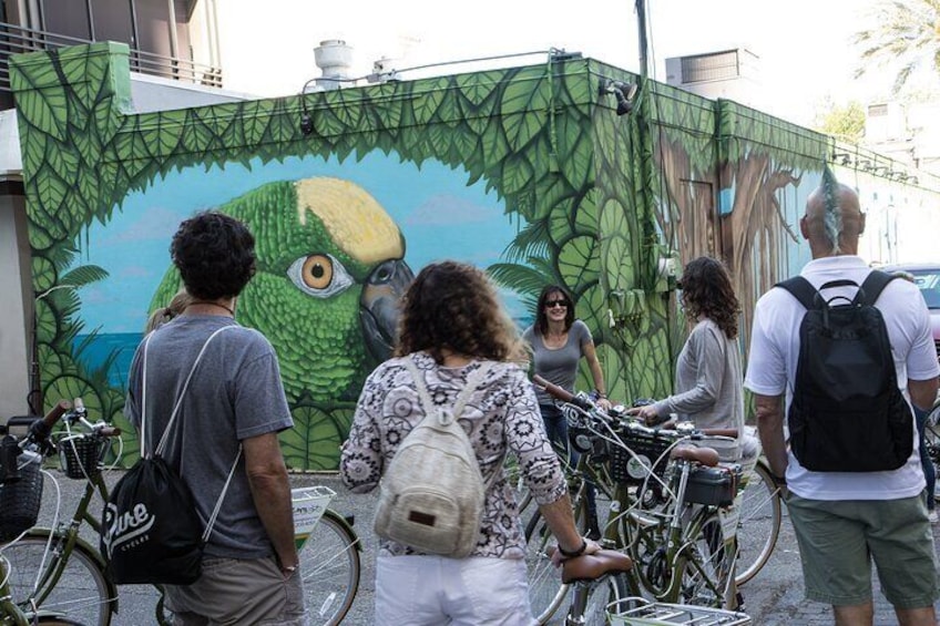 St Pete Art and Mural Biking Tour