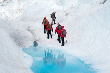 Caminata épica por el glaciar con la mejor tripulación y las prácticas más ...