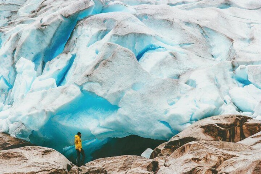 Afternoon Wilderness, Wildlife, Glacier Experience from Anchorage