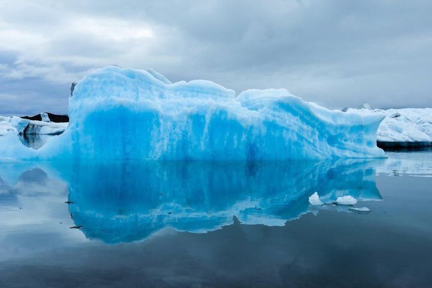 3:00 pm Wilderness, Wildlife, Glacier Experience from Anchorage| May - Sept