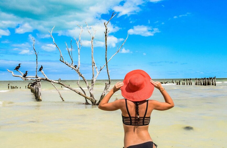 Explore Holbox a Magic Island!