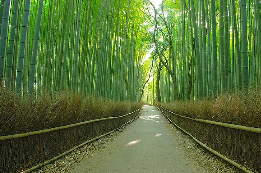 Full-Day Bus Tour of Kyoto