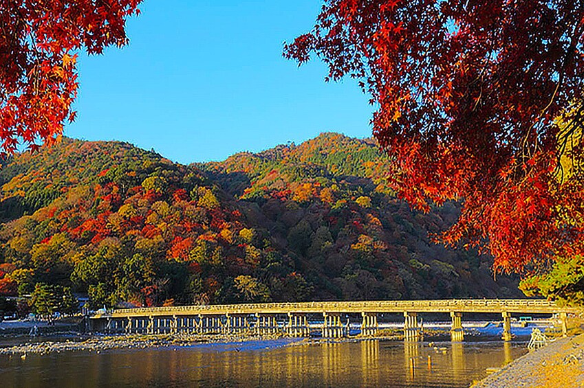 Full-Day Bus Tour of Kyoto