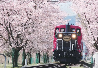 Sagano Romantic Train and Kyoto One Day Bus Tour