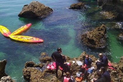 All-inclusive Kayak Adventure with Cliff Jumping, Sea Caves and Snorkelling