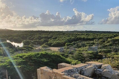 Private Tour at Spanish Lagoon Mangrove + Bird Watching