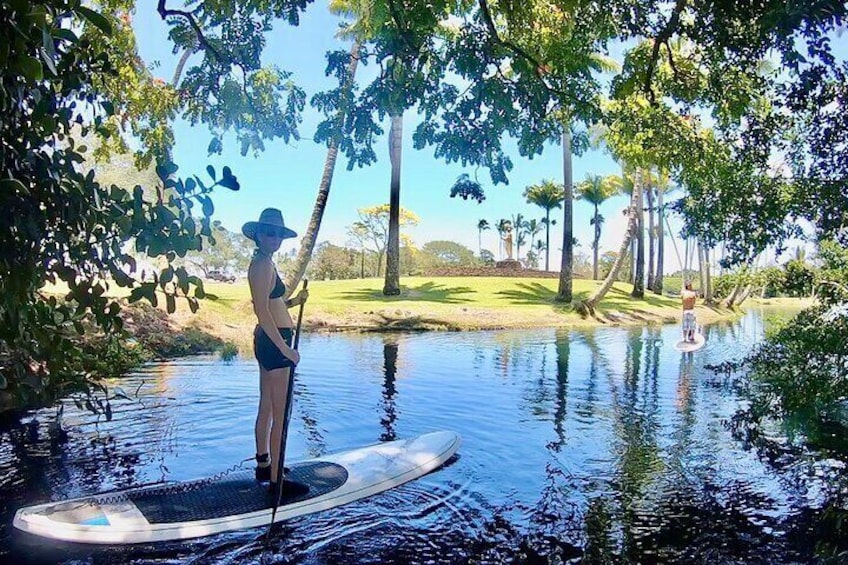 Historic Hilo Bay & Coconut Island SUP Adventure