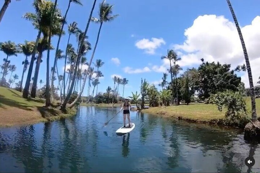 Historic Hilo Bay & Coconut Island SUP Adventure