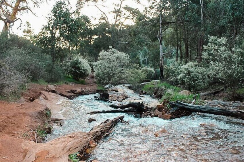 Lesmurdie Falls Scenic Sunset Guided Hike