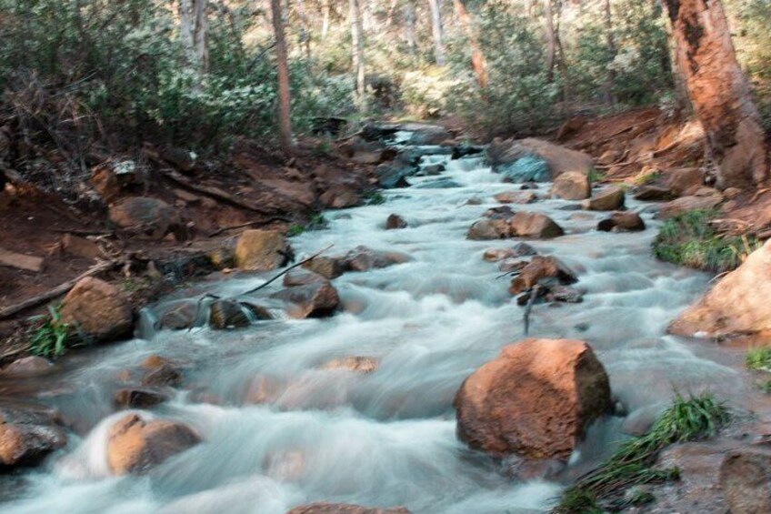 Lesmurdie Falls Scenic Sunset Guided Hike