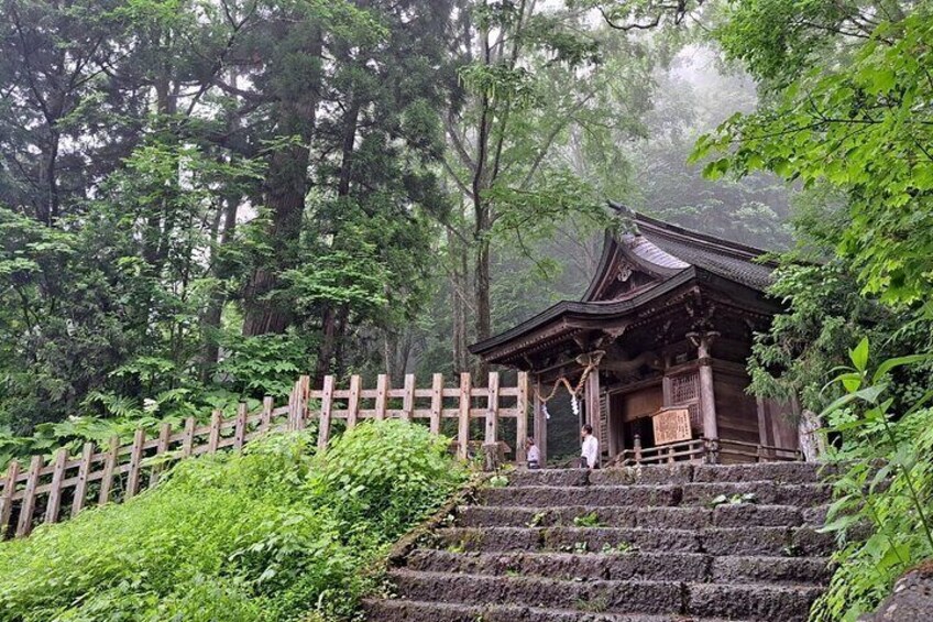 1-Day Togakushi Tour: Soba making, Ninja Town, and Hidden Shrines