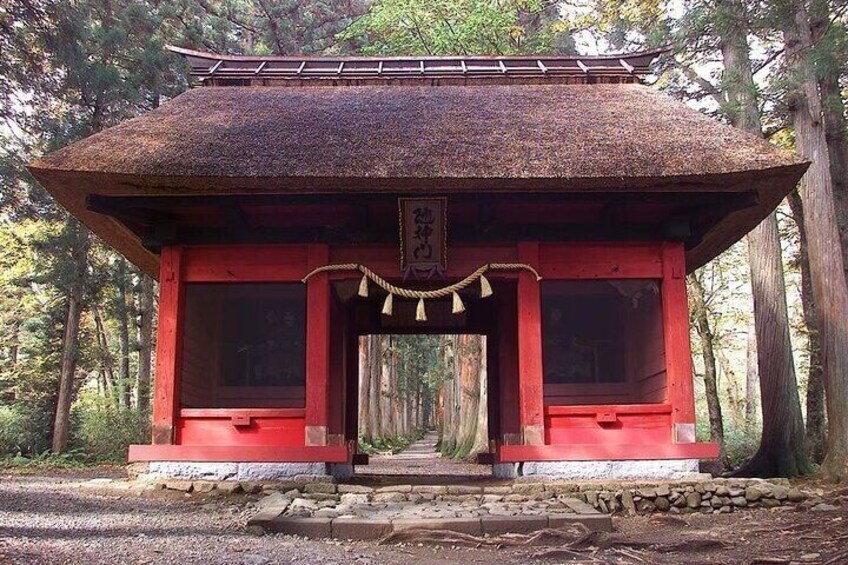 Your guide will lead you through the distinctive Zuishimon Gate and into the grand cedars.