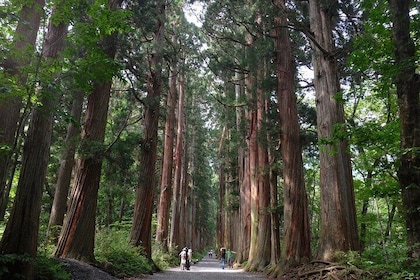 1-Day Togakushi Tour: Soba making, Ninja Town, and Hidden Shrines