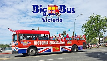 Hop-on Hop-off Bus City Tour