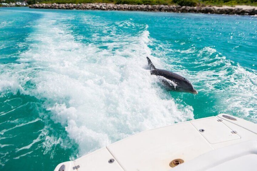 Private 7-Hour Catamaran Tour in Turks and Caicos