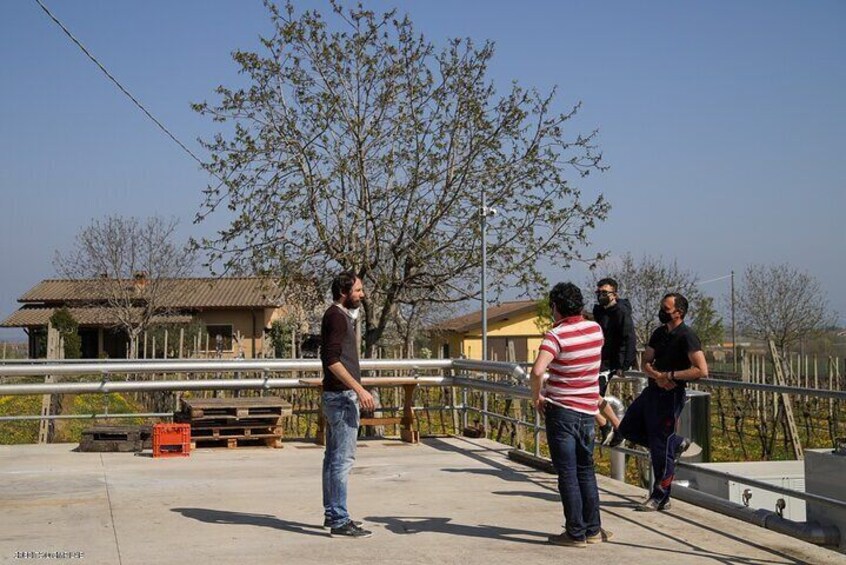 Vineyards Tour and Tasting of Lugana Wines in Historic Cellar