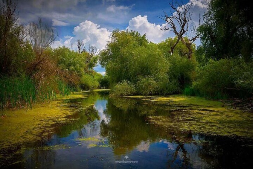 Private Tour to Danube Delta - Biosphere National Park 