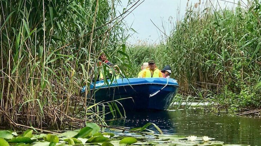 Danube Delta - Biosphere National Park - Private tour