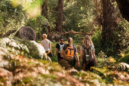 Half-Day Yanchep Ghost House Wilderness Guided Hike Tour