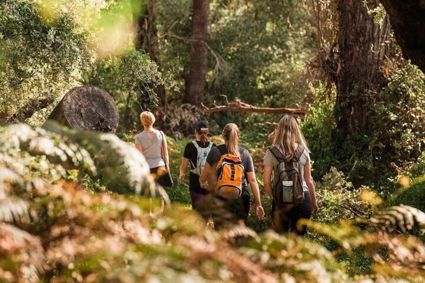 Half-Day Yanchep Ghost House Wilderness Guided Hike Tour