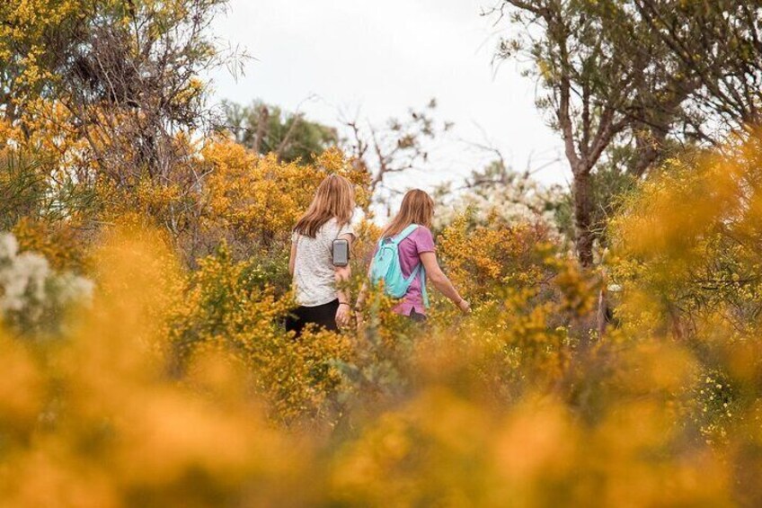 Half-Day Yanchep Ghost House Wilderness Guided Hike Tour