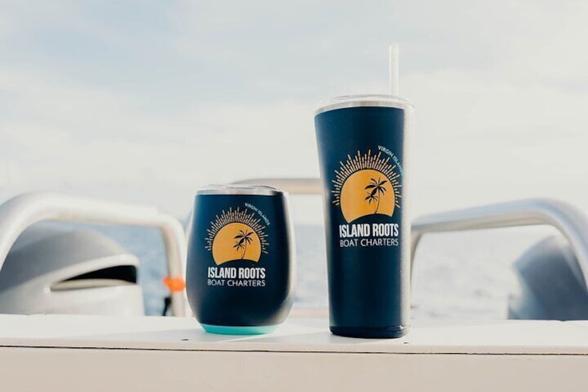 Complementary cups, ice and drinking water on board