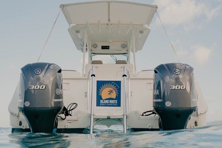 Easy to use boarding ladder and swim platform