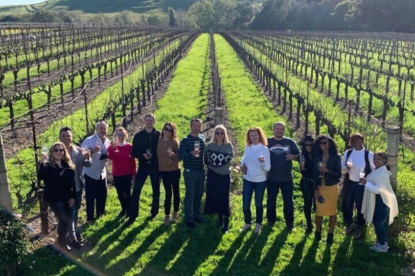 The Perfect Blend: Napa and Sonoma Combo Wine Tour from San Francisco