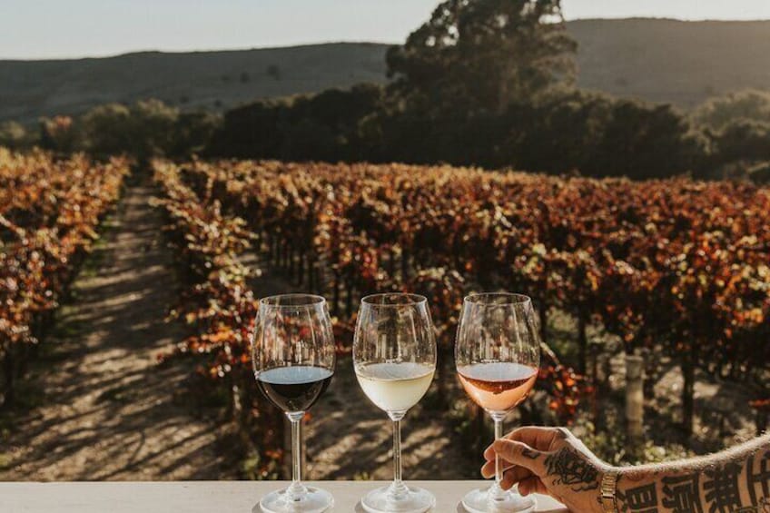 The Ultimate Napa & Sonoma Wine Tour