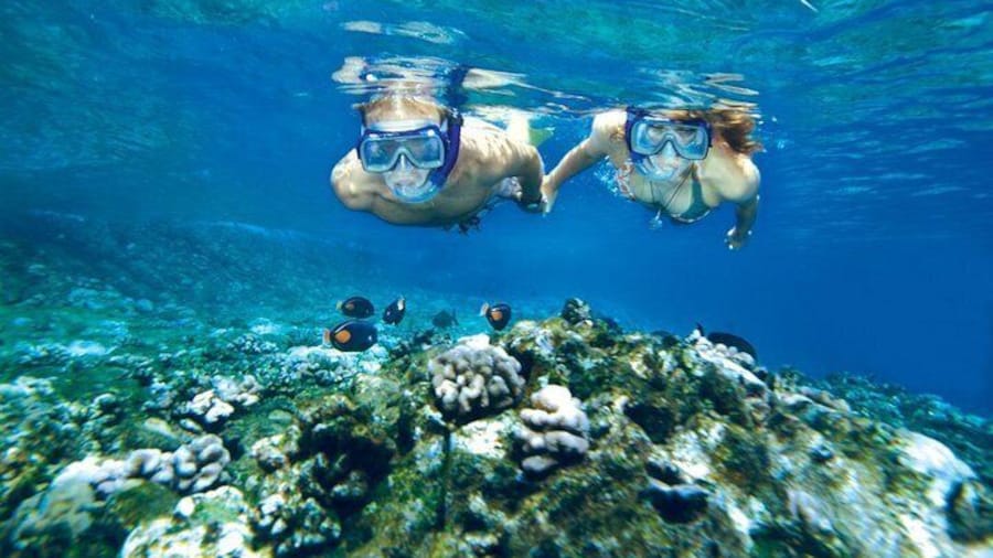Snorkeling at Molokini Crater