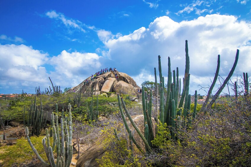 Explore Aruba Island Tour