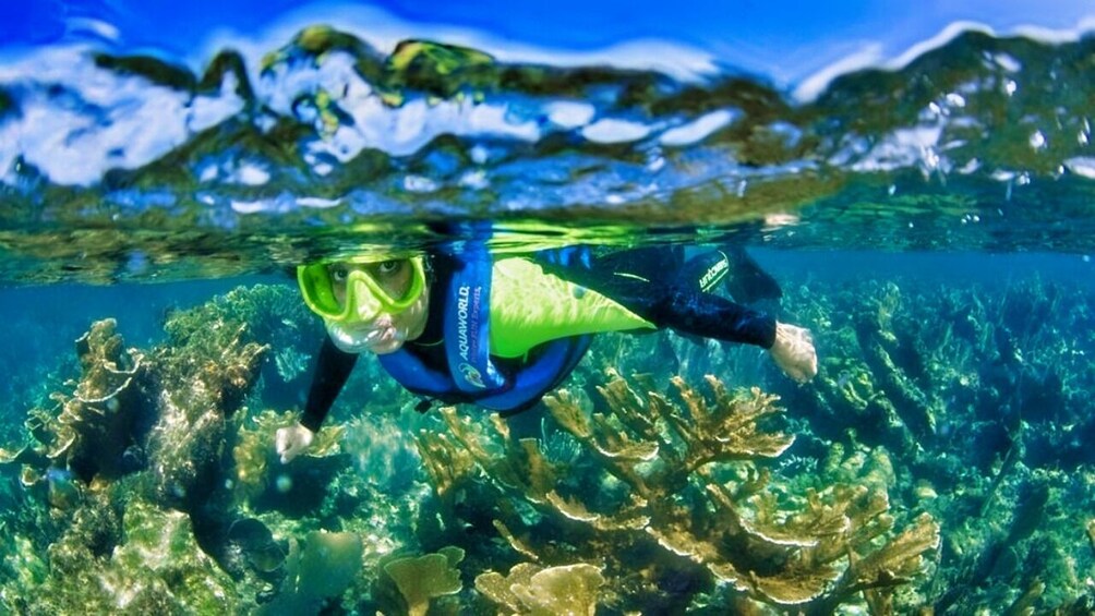 Underwater Museum of Art Snorkel Experience