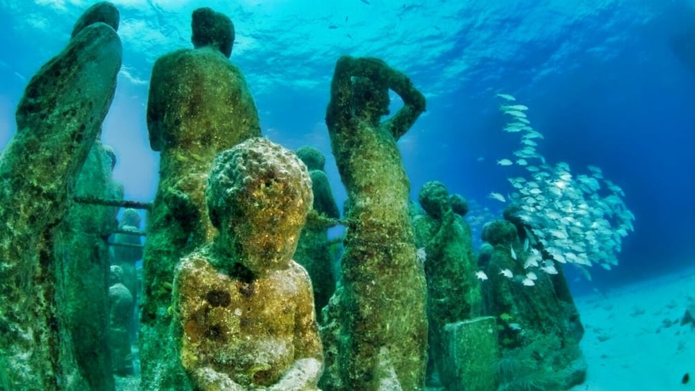 Underwater Museum of Art Snorkel Experience
