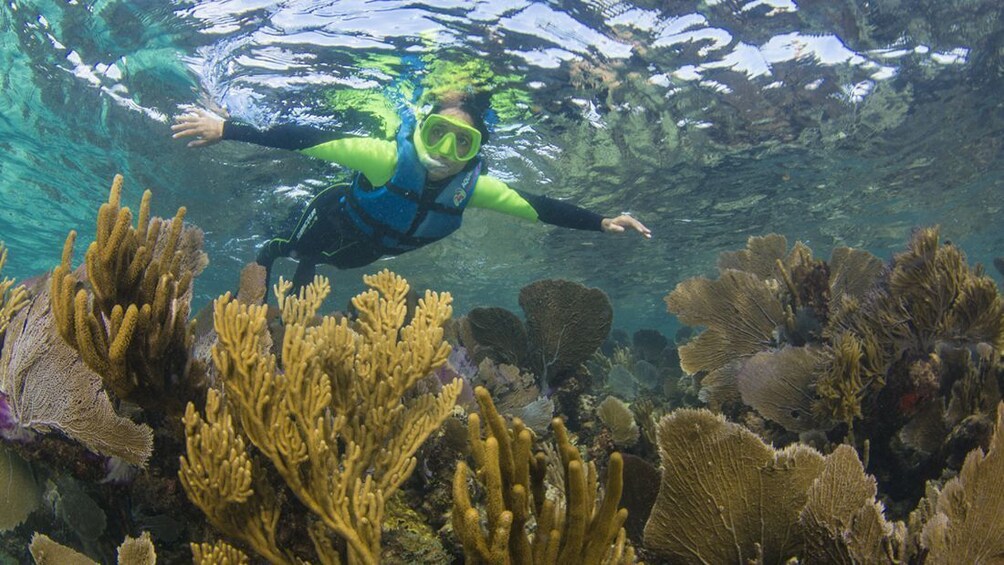 Nizuc Reef Snorkel Experience