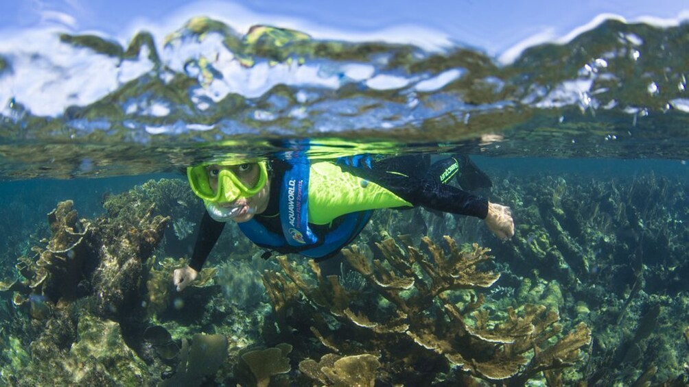 Nizuc Reef Snorkel Experience