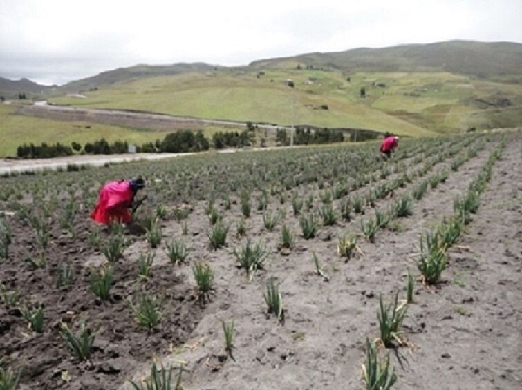 Daily departures: Small Groups Tour to Quilotoa Lagoon 