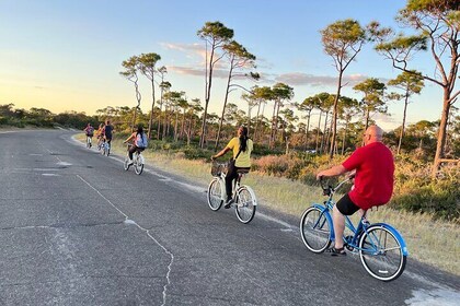 Tour autoguiado en bicicleta: ¡seguro, divertido, St. Andrews!