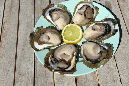 Perfect Private Oyster and Wine tasting with Boat ride