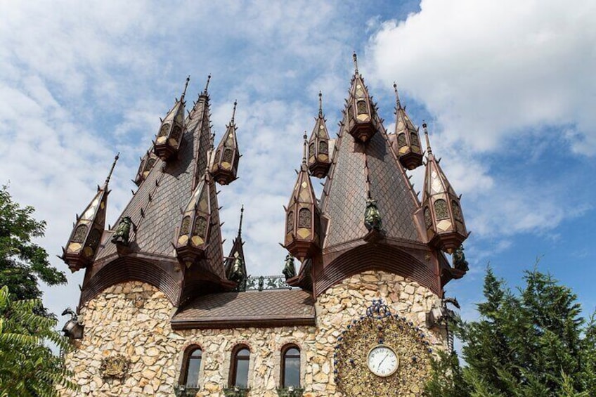 Half-Day Group Guided Birdwatching Tour with Ravadinovo Castle