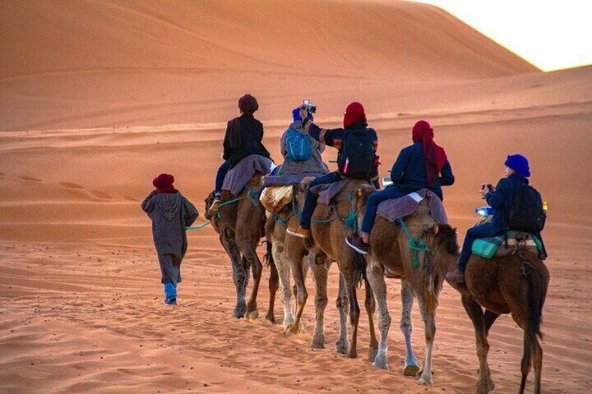 Camel trekking Erg chebbi