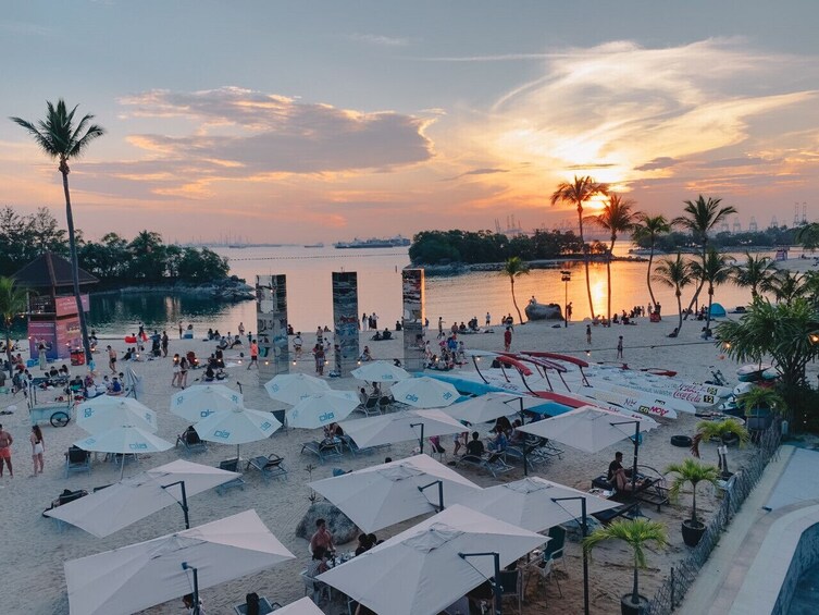 Stand up Paddleboard - Ola Beach Club