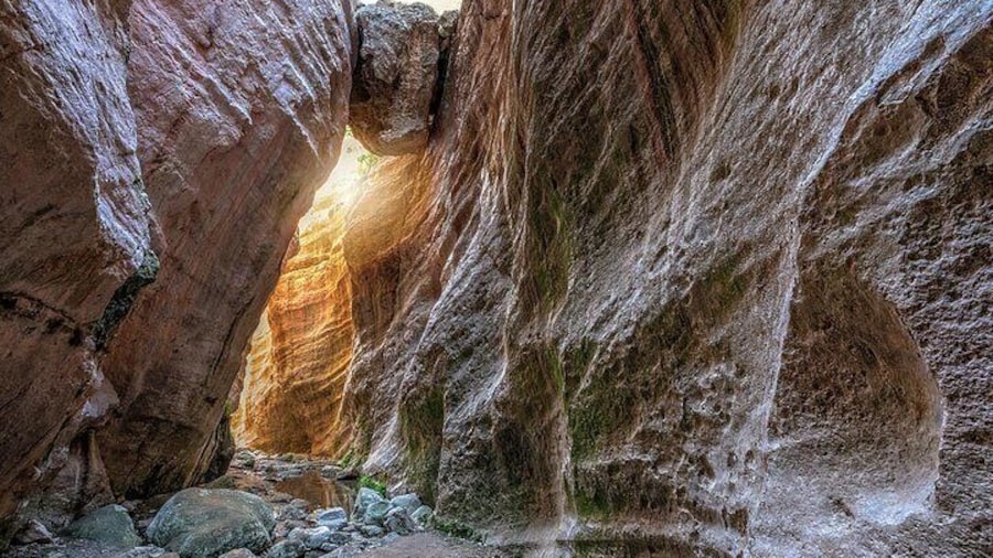 Jeep Safari to Akamas National Park: Avakas Gorge Tour from Paphos