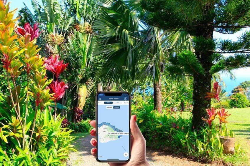 Ultimate Self-Driving Audio Tour of Road to Hana, Maui