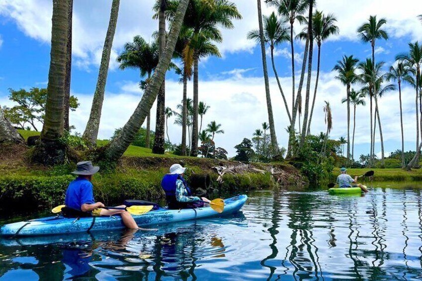 Wailoa River to King Kamehameha Statue Kayak Adventure